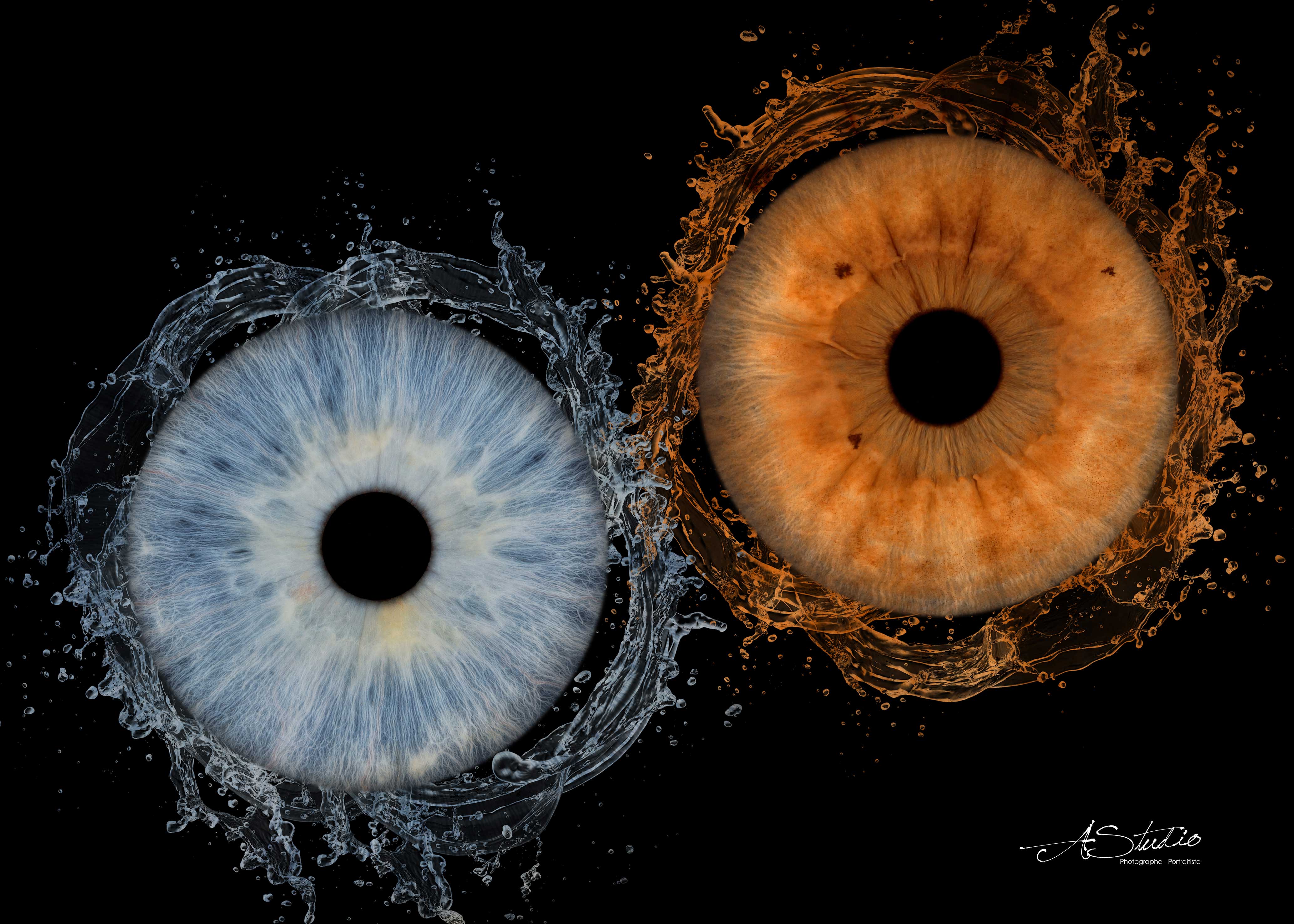 Création de deux iris avec l’effet Tourbillon